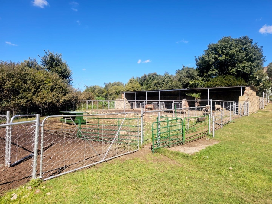 4 Bedroom Property for Sale in Dewetsdorp Free State